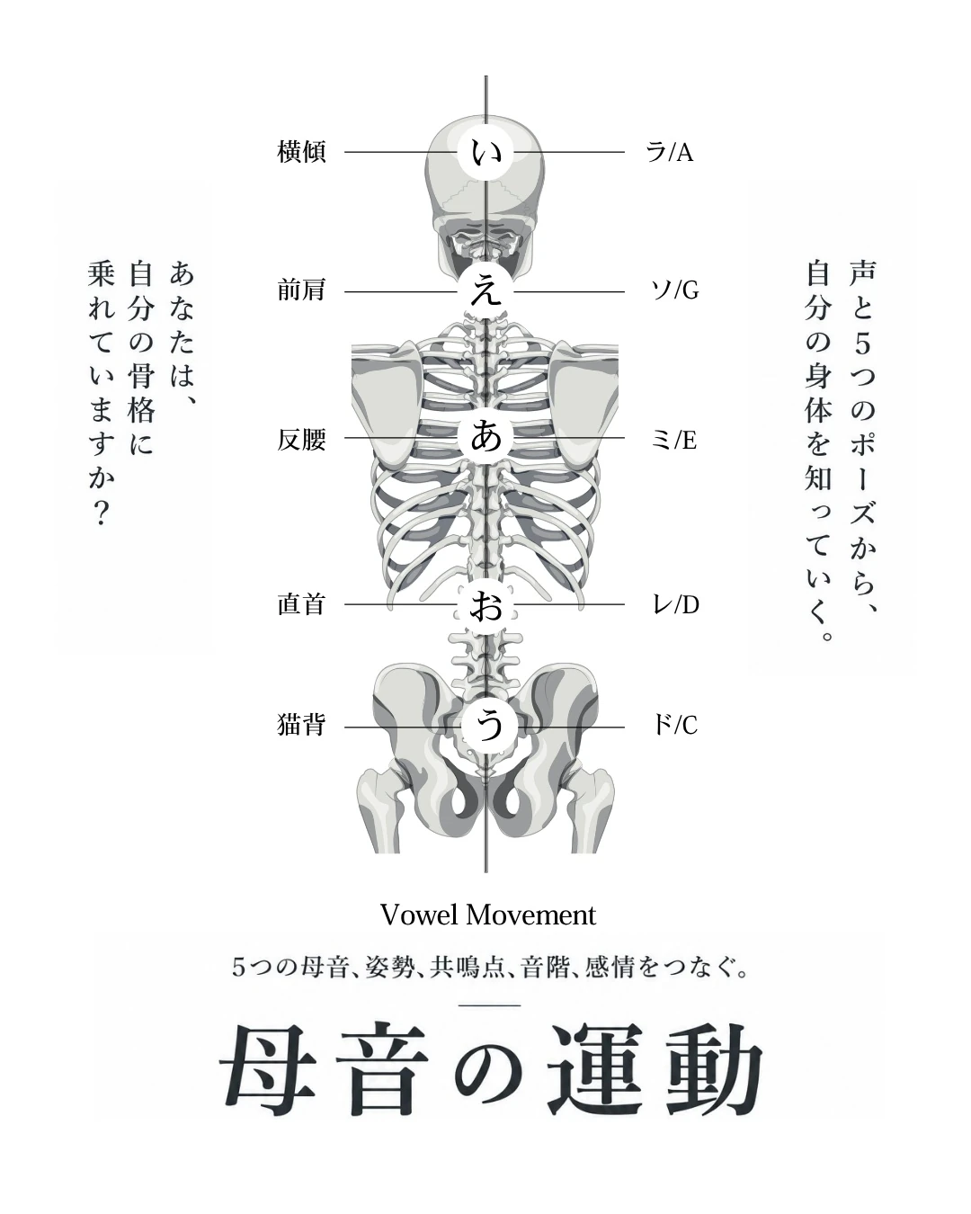 母音の運動。5つの母音、姿勢、共鳴点、音階、感情をつなぐ身体認知メソッドのコンセプトビジュアル